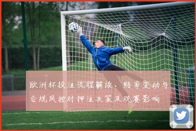 欧洲杯投注流程解读、赔率变动与合规风控对押注决策及观赛影响