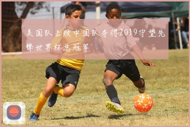 美国队击败中国队夺得2019守望先锋世界杯总冠军
