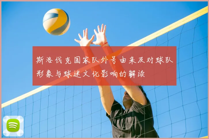 斯洛伐克国家队外号由来及对球队形象与球迷文化影响的解读