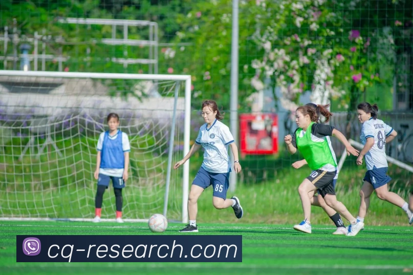 平台使命图